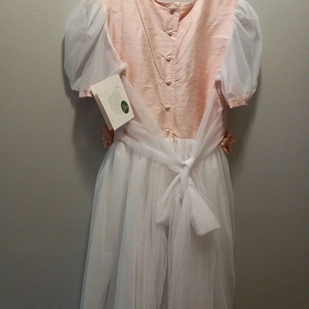 Posies Of Maine "Tinker Bell"Girls Dress Pink White Size 16. NWT - Picture 4 of 11